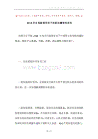 2019年乡科级领导班子述职述廉情况报告.docx