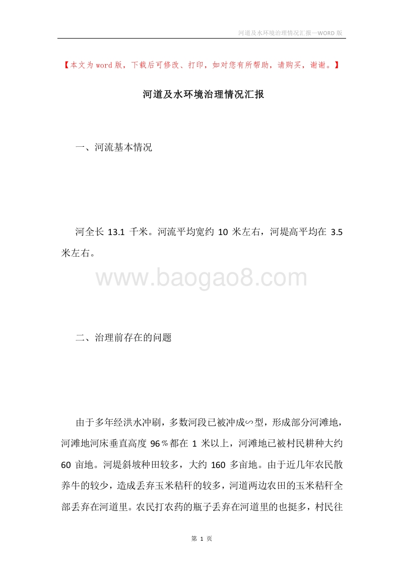 河道及水环境治理情况汇报.docx_第1页