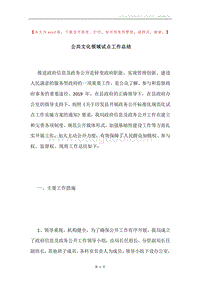 公共文化领域试点工作总结.docx