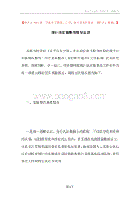 统计法实施整改情况总结.docx