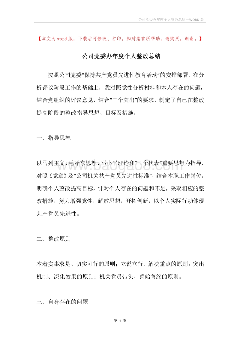 公司党委办年度个人整改总结.docx_第1页