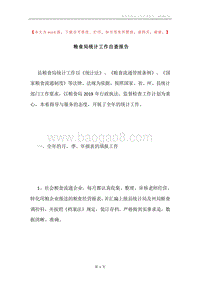 粮食局统计工作自查报告.docx