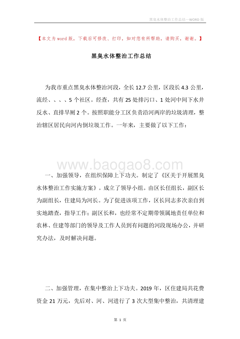 黑臭水体整治工作总结.docx_第1页