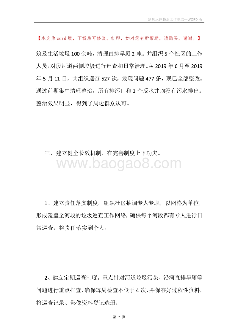 黑臭水体整治工作总结.docx_第2页