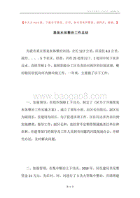 黑臭水体整治工作总结.docx