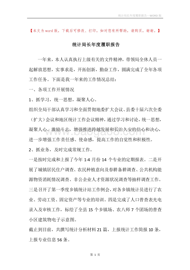 统计局长年度履职报告.docx_第1页