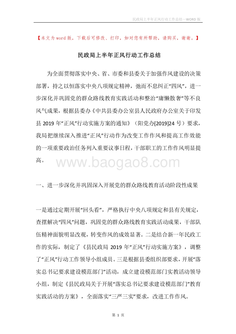 民政局上半年正风行动工作总结.docx_第1页
