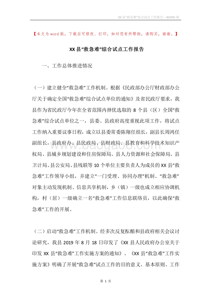 XX县“救急难”综合试点工作报告.docx_第1页