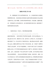 旅游办年度工作小结.docx