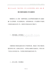 统计规范化建设工作自查报告.docx