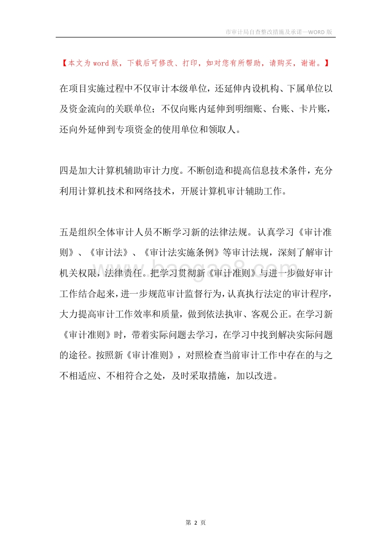 市审计局自查整改措施及承诺.docx_第2页