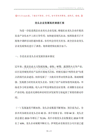 龙头企业发展现状调查汇报.docx
