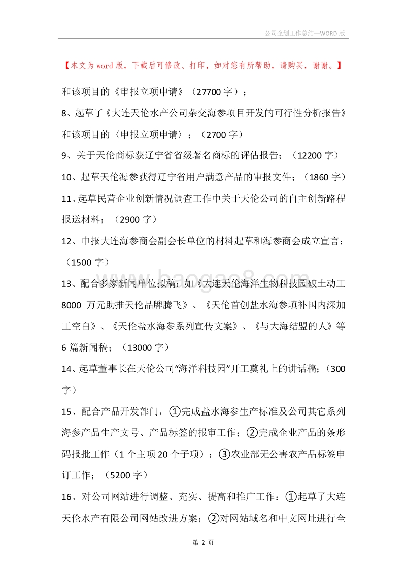 公司企划工作总结.docx_第2页