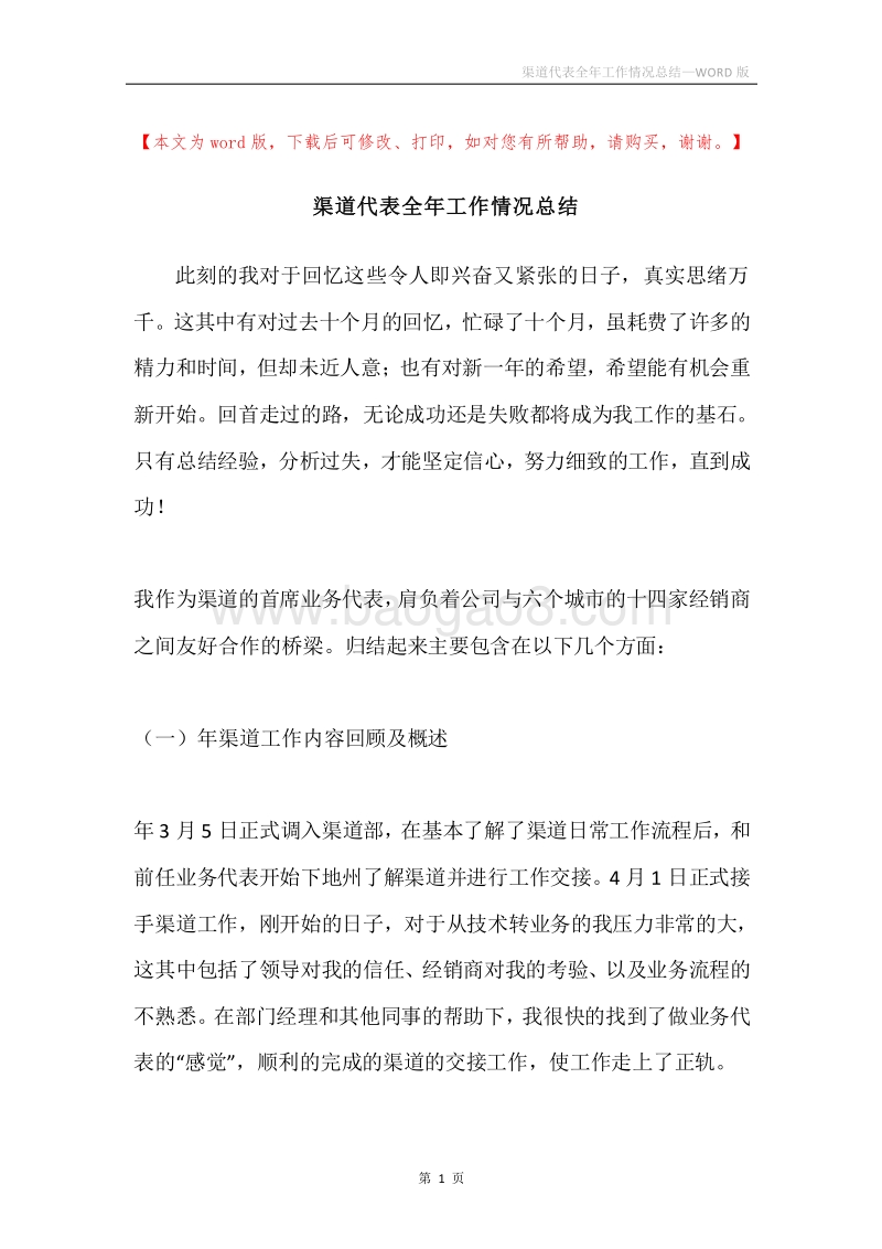 渠道代表全年工作情况总结.docx_第1页