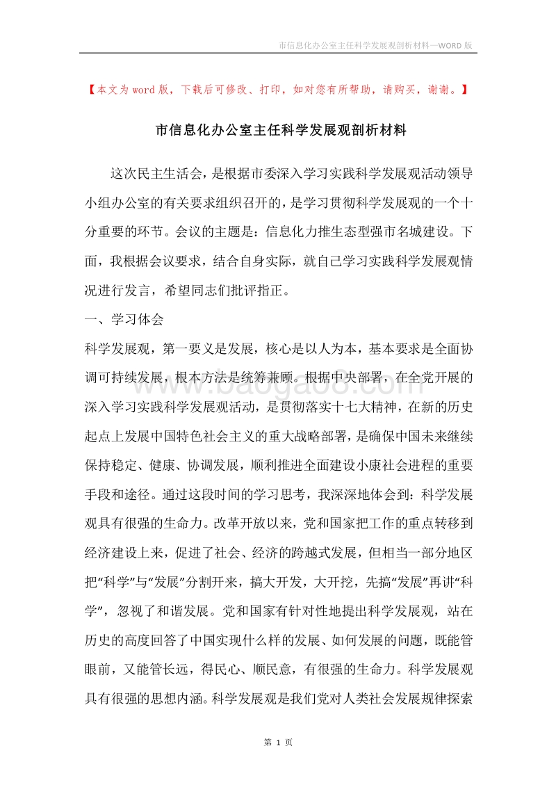 市信息化办公室主任科学发展观剖析材料.docx_第1页