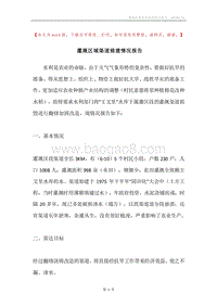 灌溉区域渠道修建情况报告.docx