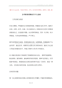 公司财务采购实习个人总结.docx