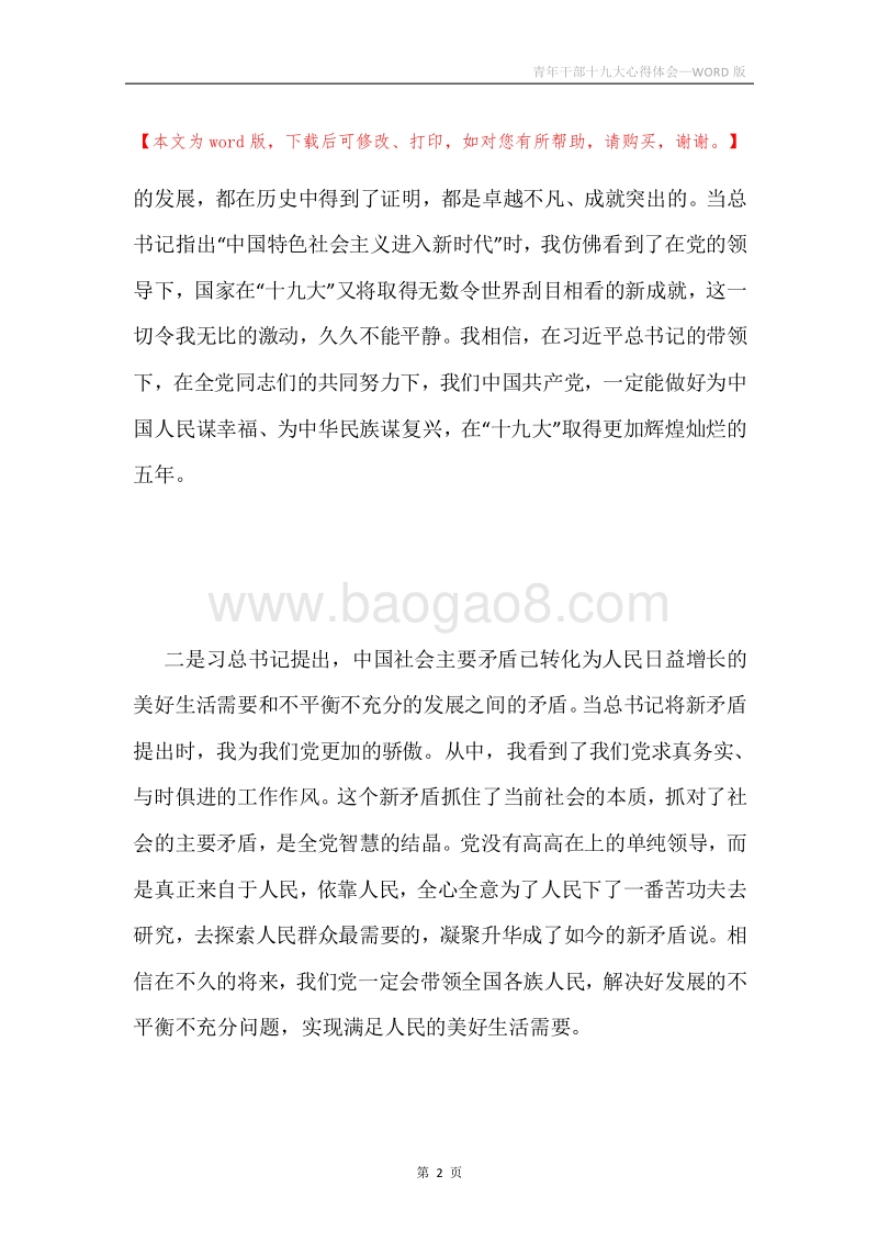 青年干部十九大心得体会.docx_第2页