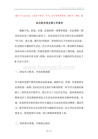 农办机关党支部工作报告.docx