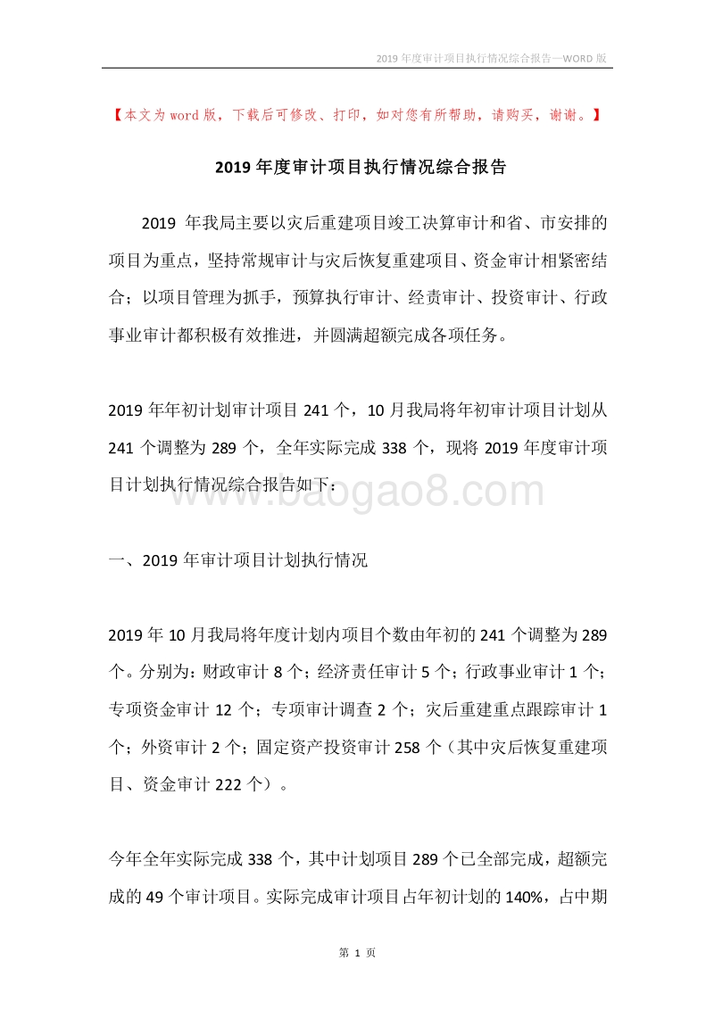 2019年度审计项目执行情况综合报告.docx_第1页