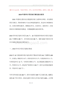 2019年度审计项目执行情况综合报告.docx