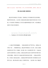 国土执法问题大调研报告.docx