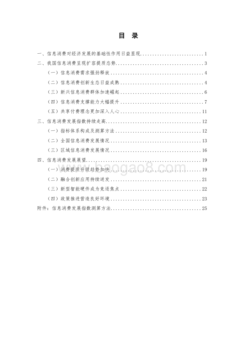 2019年中国信息消费发展态势及展望报告.doc_第2页