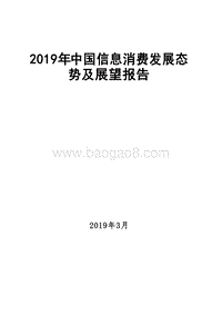 2019年中国信息消费发展态势及展望报告.doc