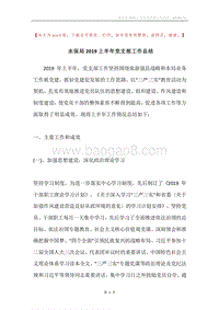 水保局2019上半年党支部工作总结.docx