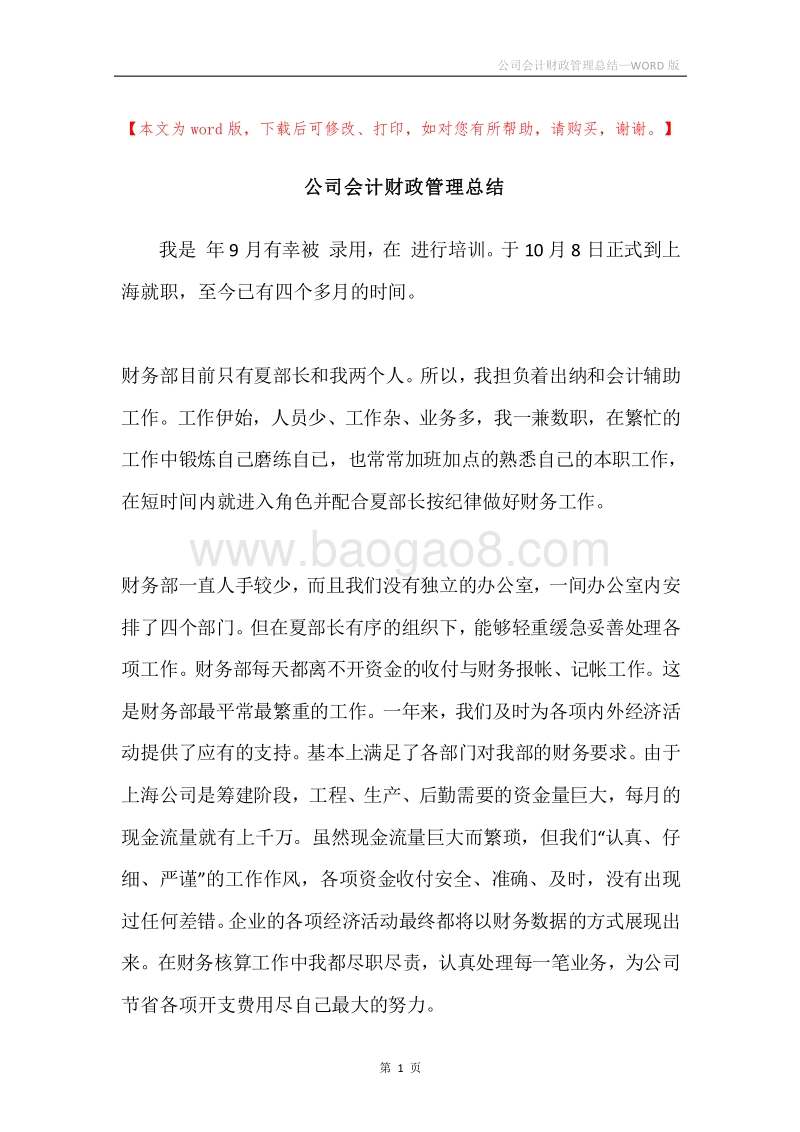 公司会计财政管理总结.docx_第1页