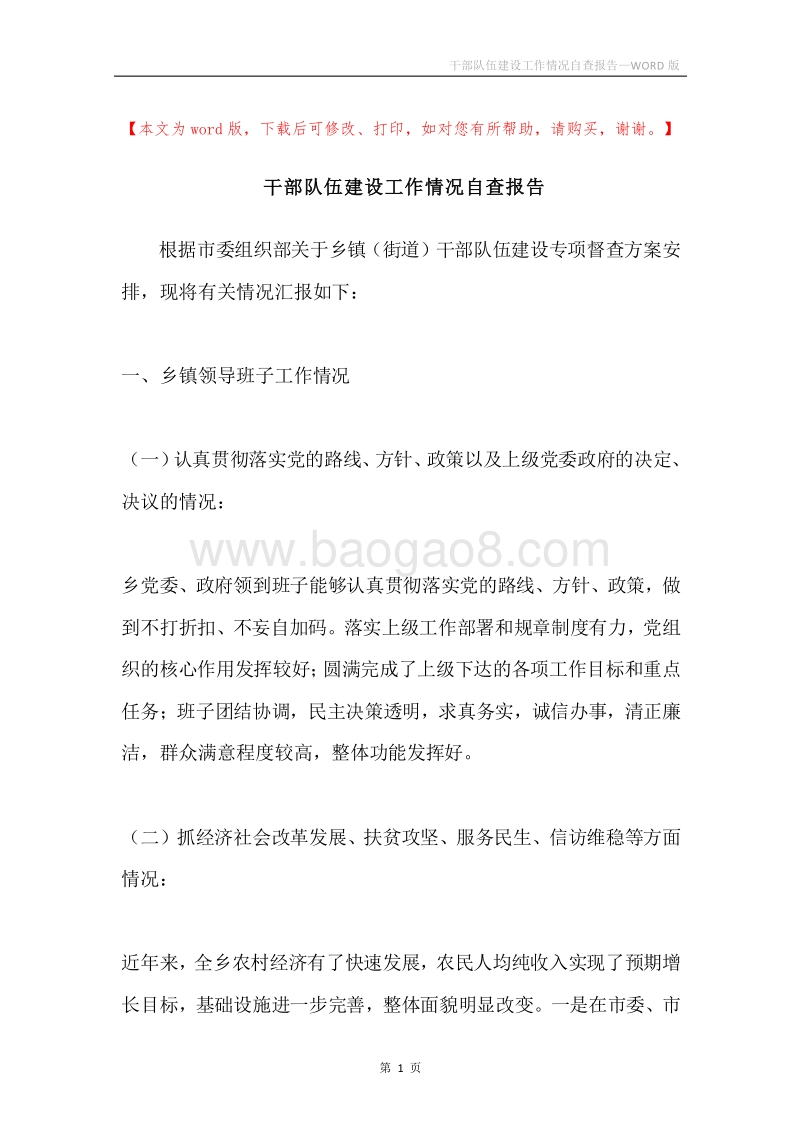 干部队伍建设工作情况自查报告.docx_第1页