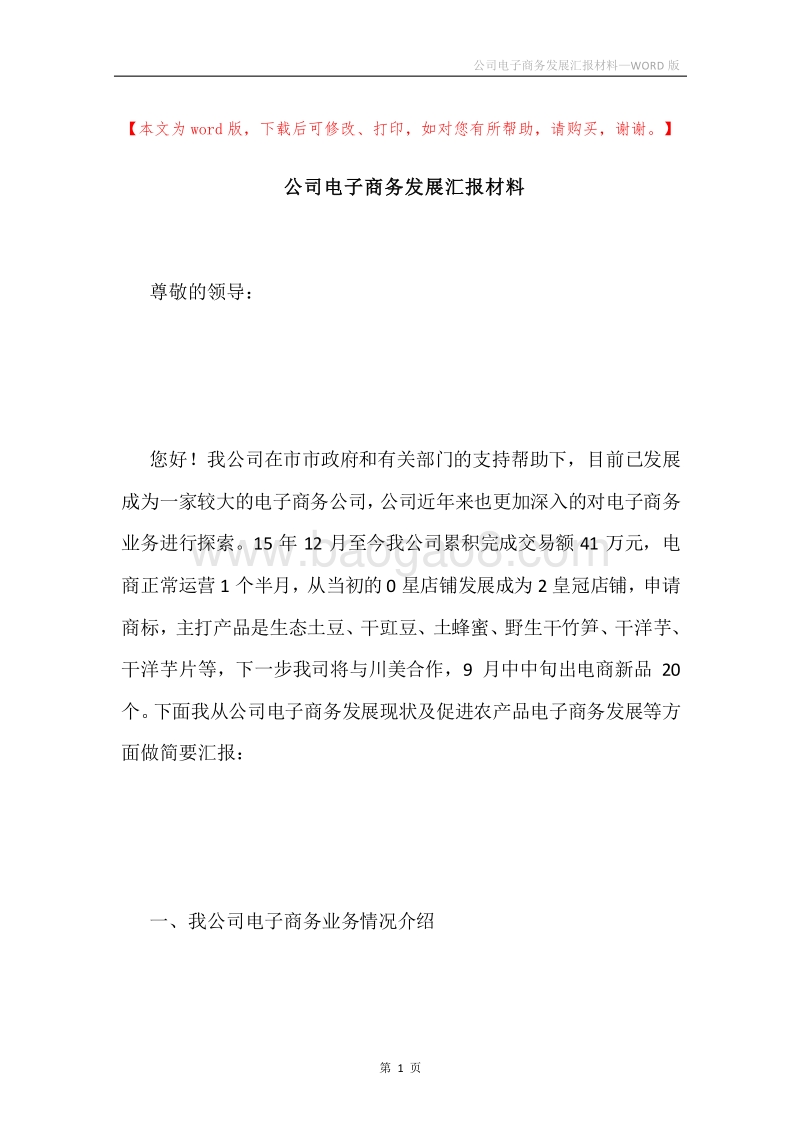 公司电子商务发展汇报材料.docx_第1页