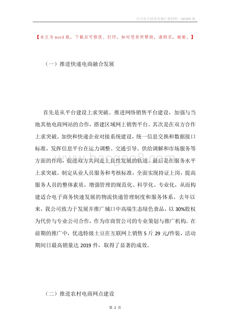公司电子商务发展汇报材料.docx_第2页