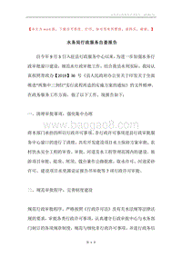 水务局行政服务自查报告.docx