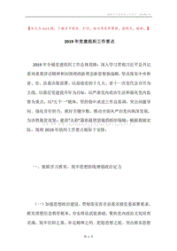 2019年党建组织工作要点.docx
