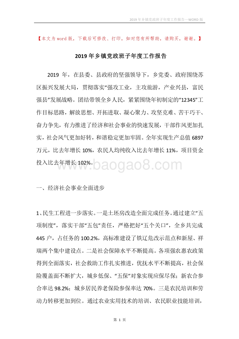 2019年乡镇党政班子年度工作报告.docx_第1页