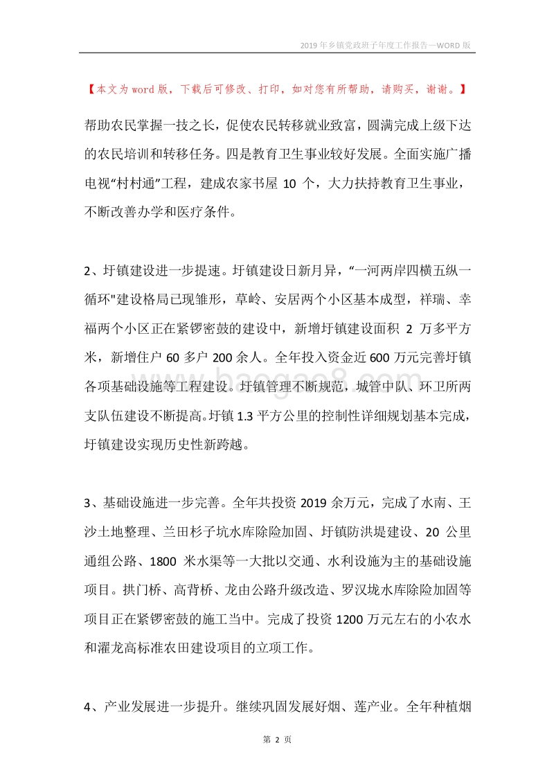 2019年乡镇党政班子年度工作报告.docx_第2页