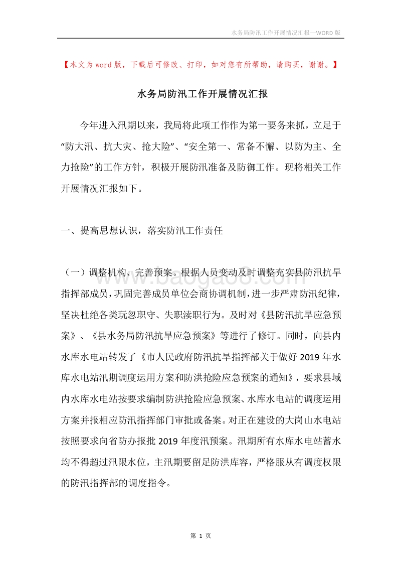 水务局防汛工作开展情况汇报.docx_第1页