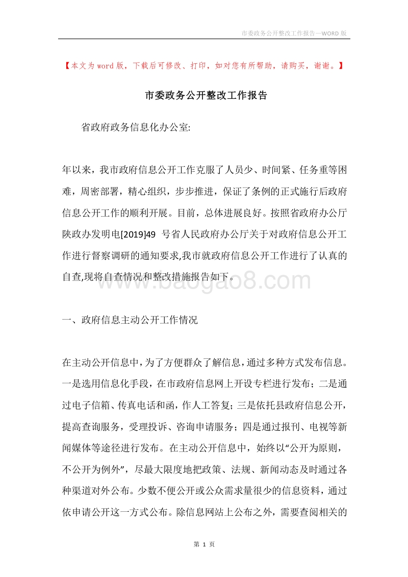 市委政务公开整改工作报告.docx_第1页