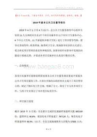 2019年基本公共卫生督导报告.docx