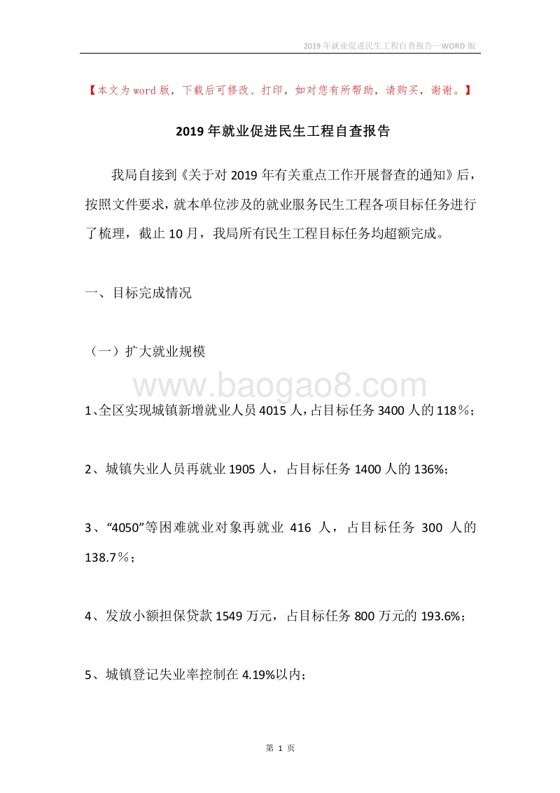 2019年就业促进民生工程自查报告.docx_第1页