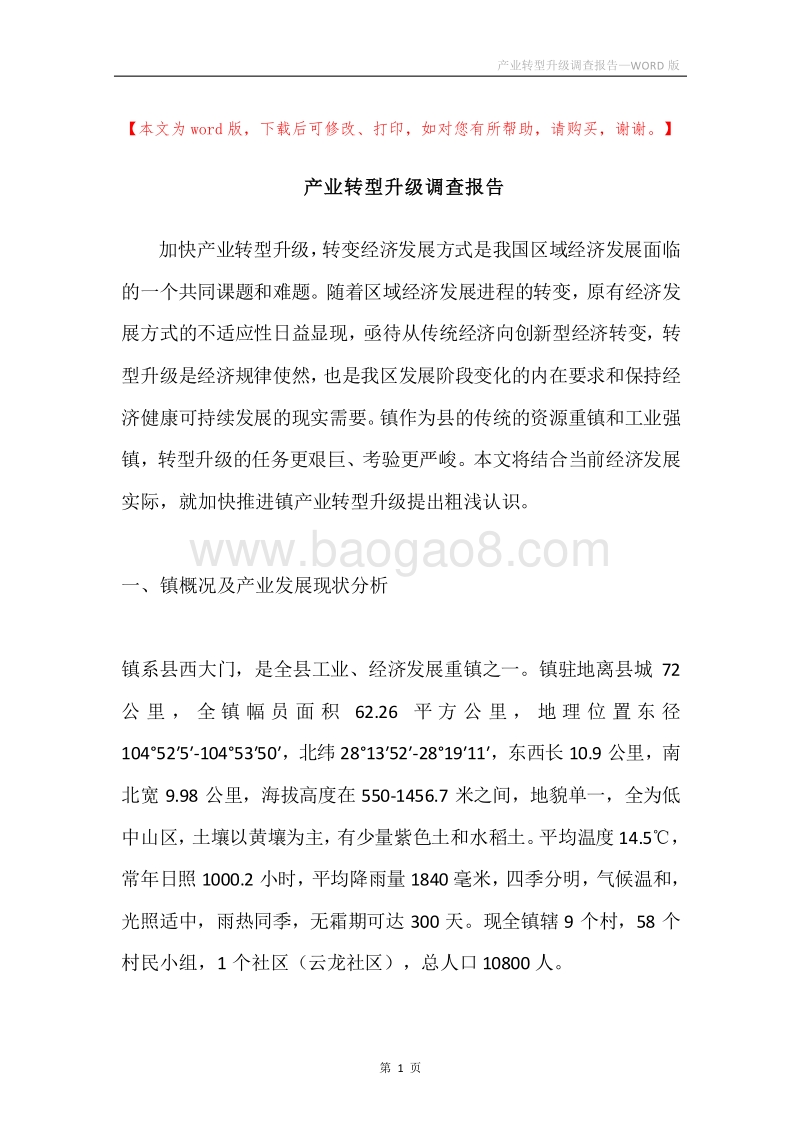 产业转型升级调查报告.docx_第1页
