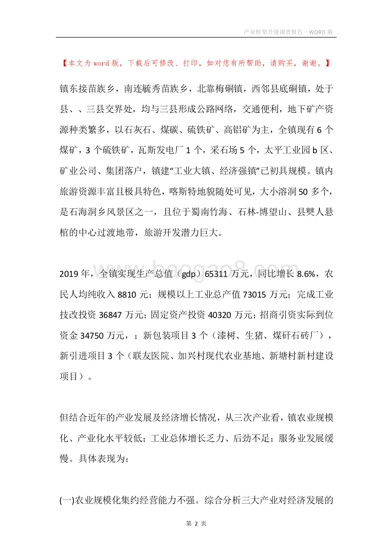 产业转型升级调查报告.docx_第2页