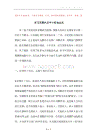 部门预算执行审计经验交流.docx