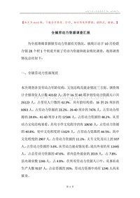 全镇劳动力资源调查汇报.docx