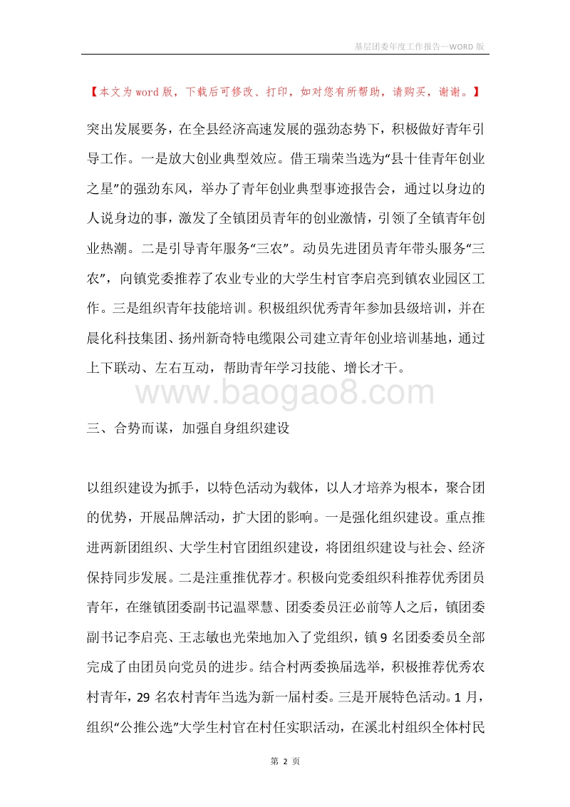 基层团委年度工作报告.docx_第2页
