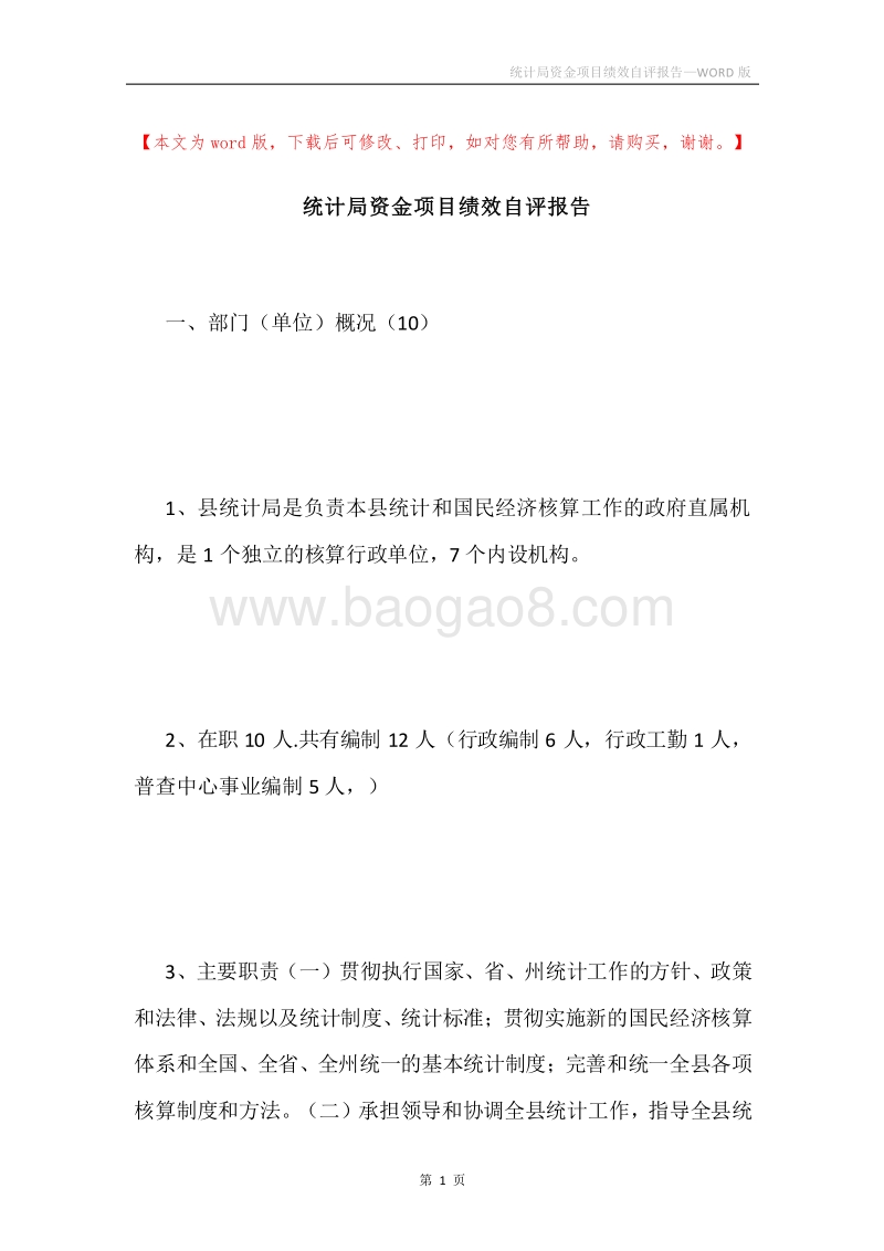 统计局资金项目绩效自评报告.docx_第1页