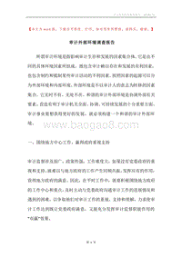 审计外部环境调查报告.docx