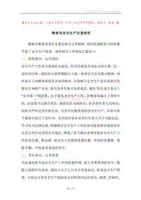 粮食局安全生产自查剖析.docx