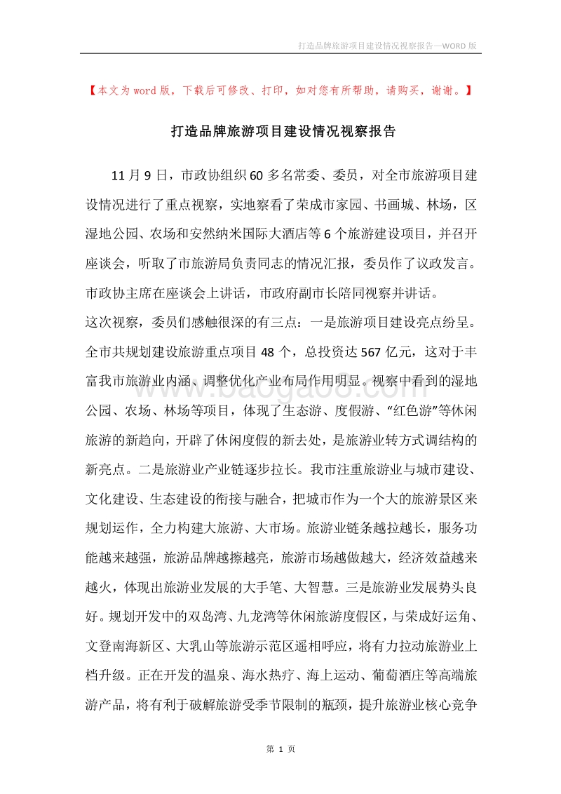 打造品牌旅游项目建设情况视察报告.docx_第1页